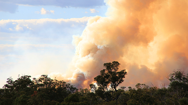 Thick billows of smoke rise into the sky